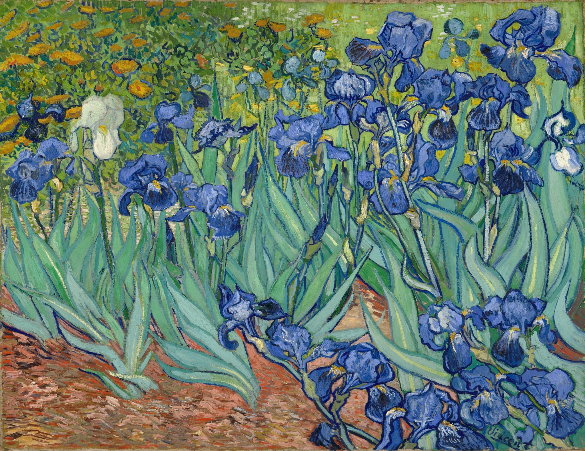Click numbered symbols to learn about their meaning Irises by Vincent van Gogh (1889) featuring White iris, Blue‑violet irises, Sword‑like leaves, Ocher soil paths