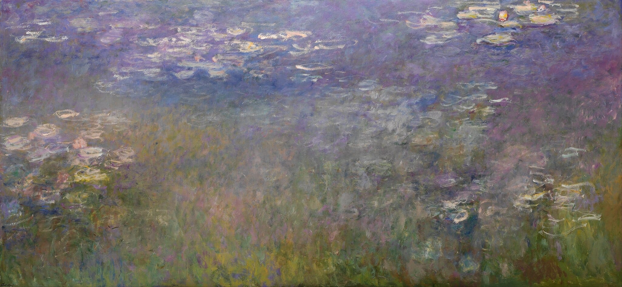 Water Lilies