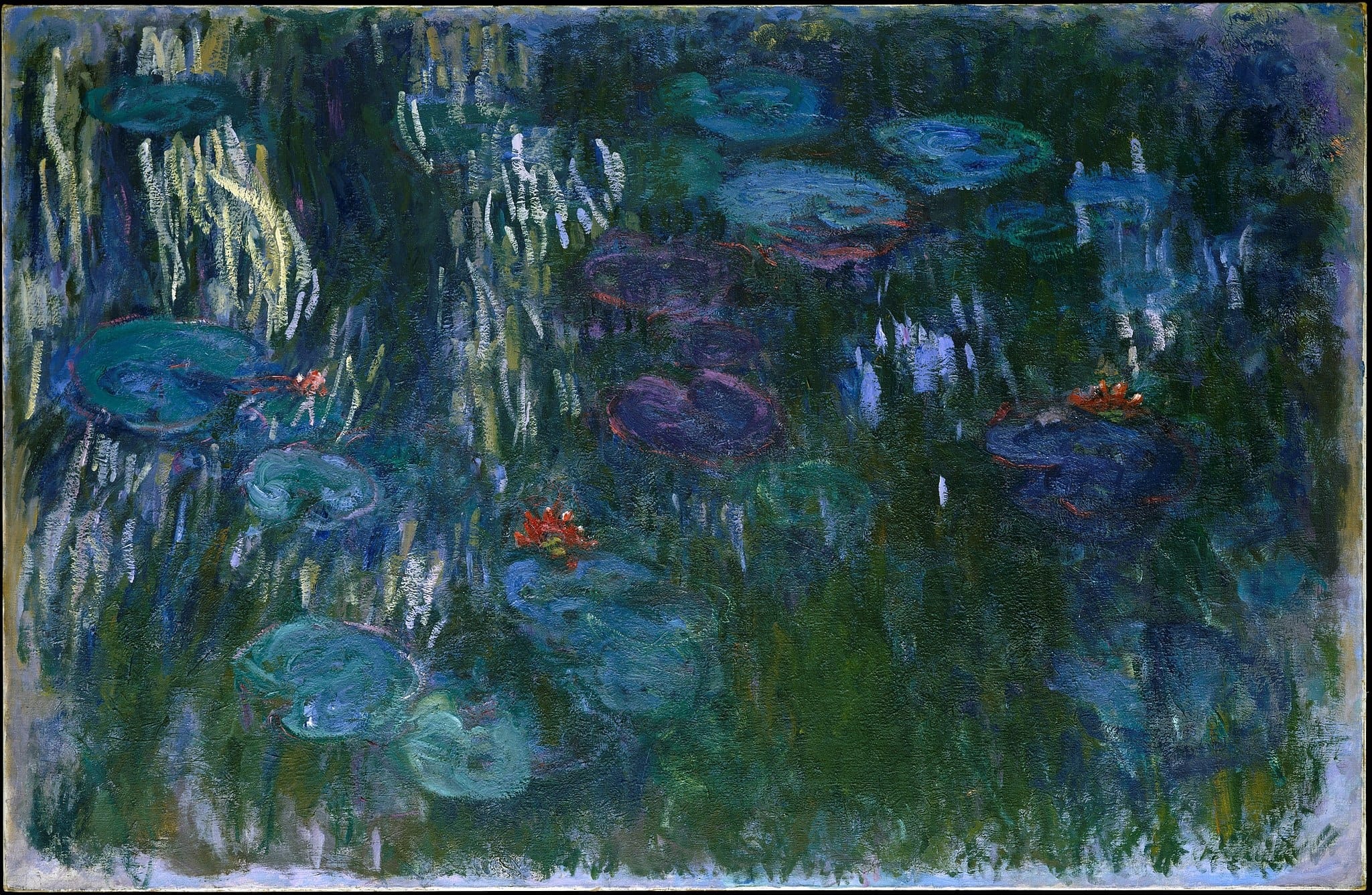 Water-lilies