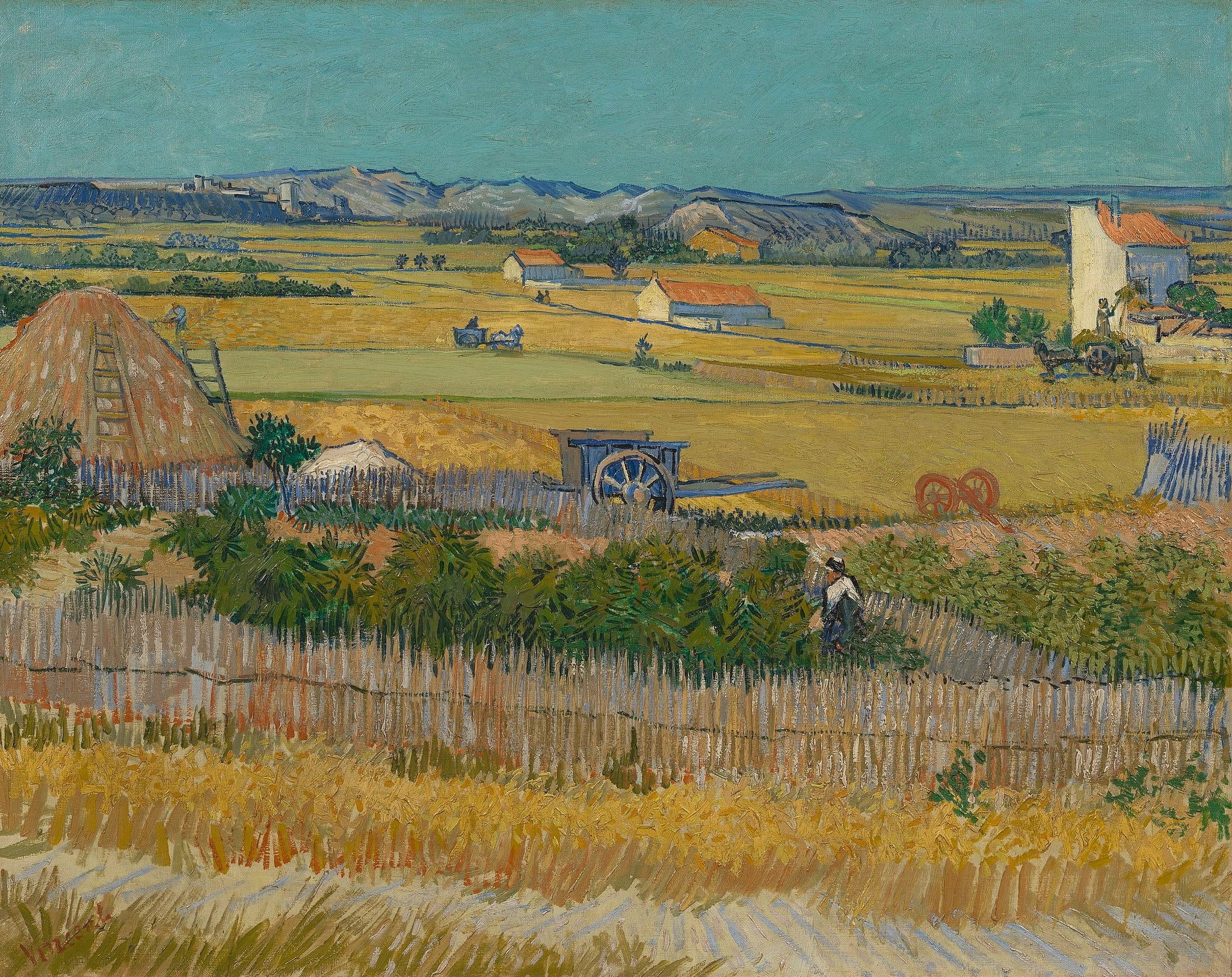 The Harvest