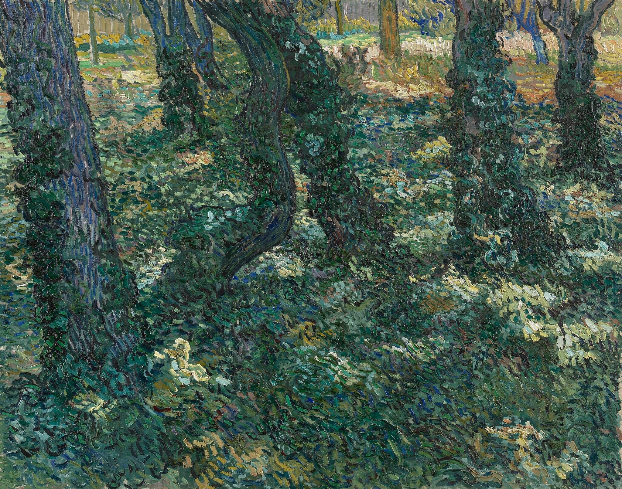 Undergrowth