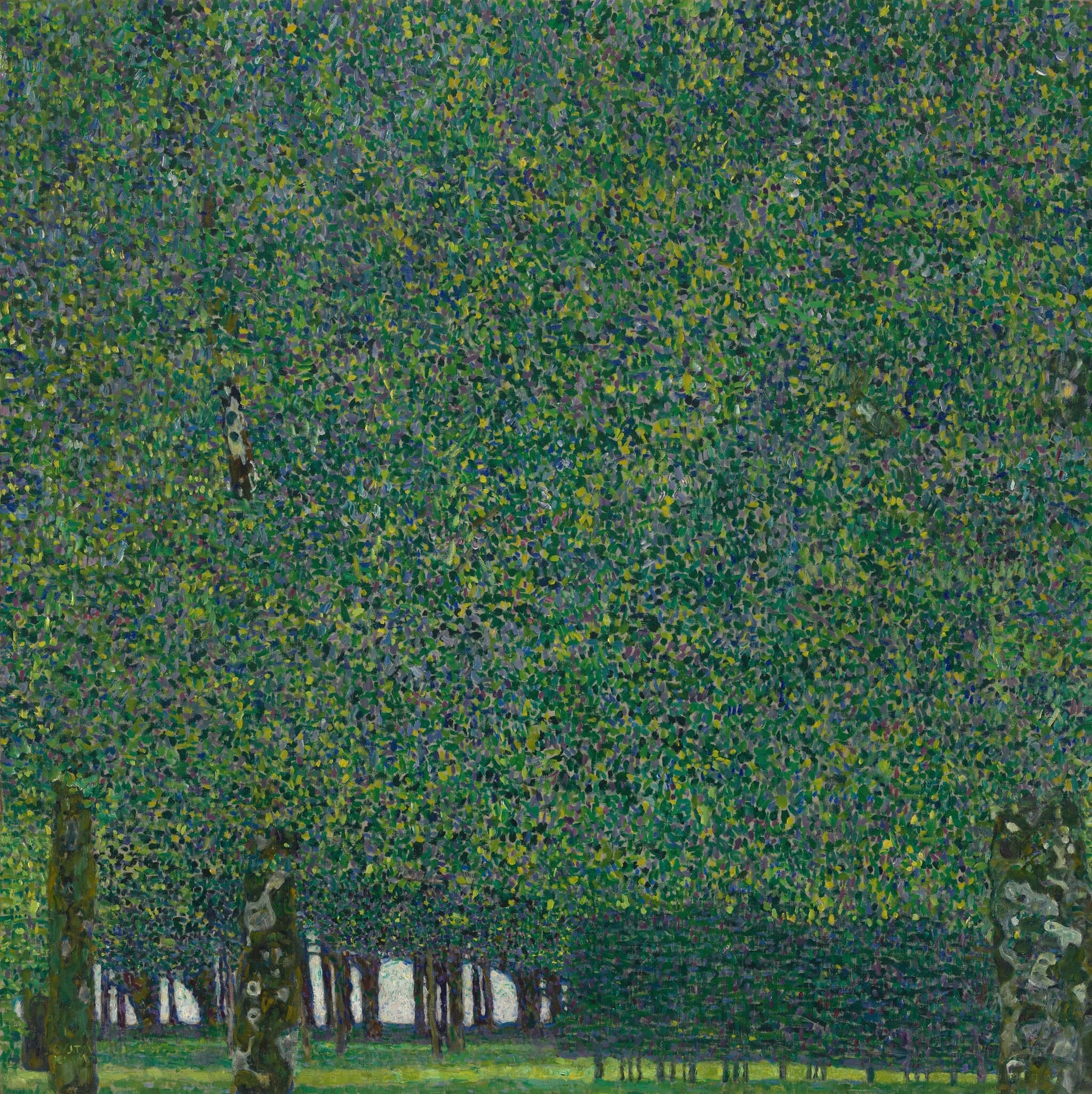The Park