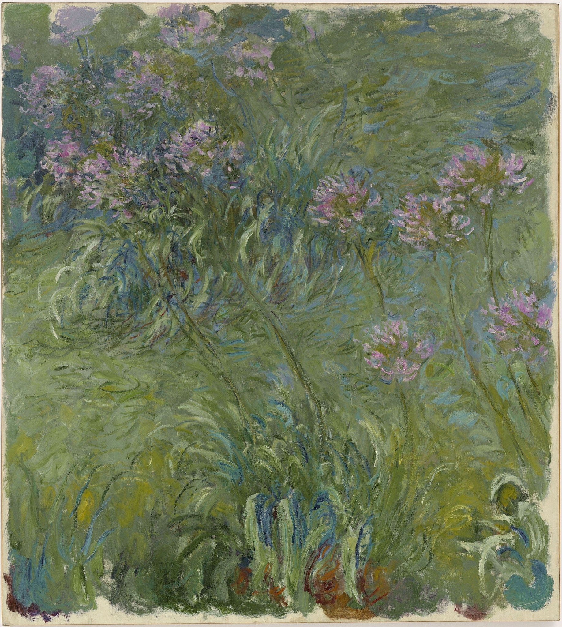 Click numbered symbols to learn about their meaning Agapanthus by Claude Monet (c. 1915–1926) featuring Lilac agapanthus blossoms, Diagonal, arcing stems, Swirling leaf calligraphy, Scumbled, horizonless ground