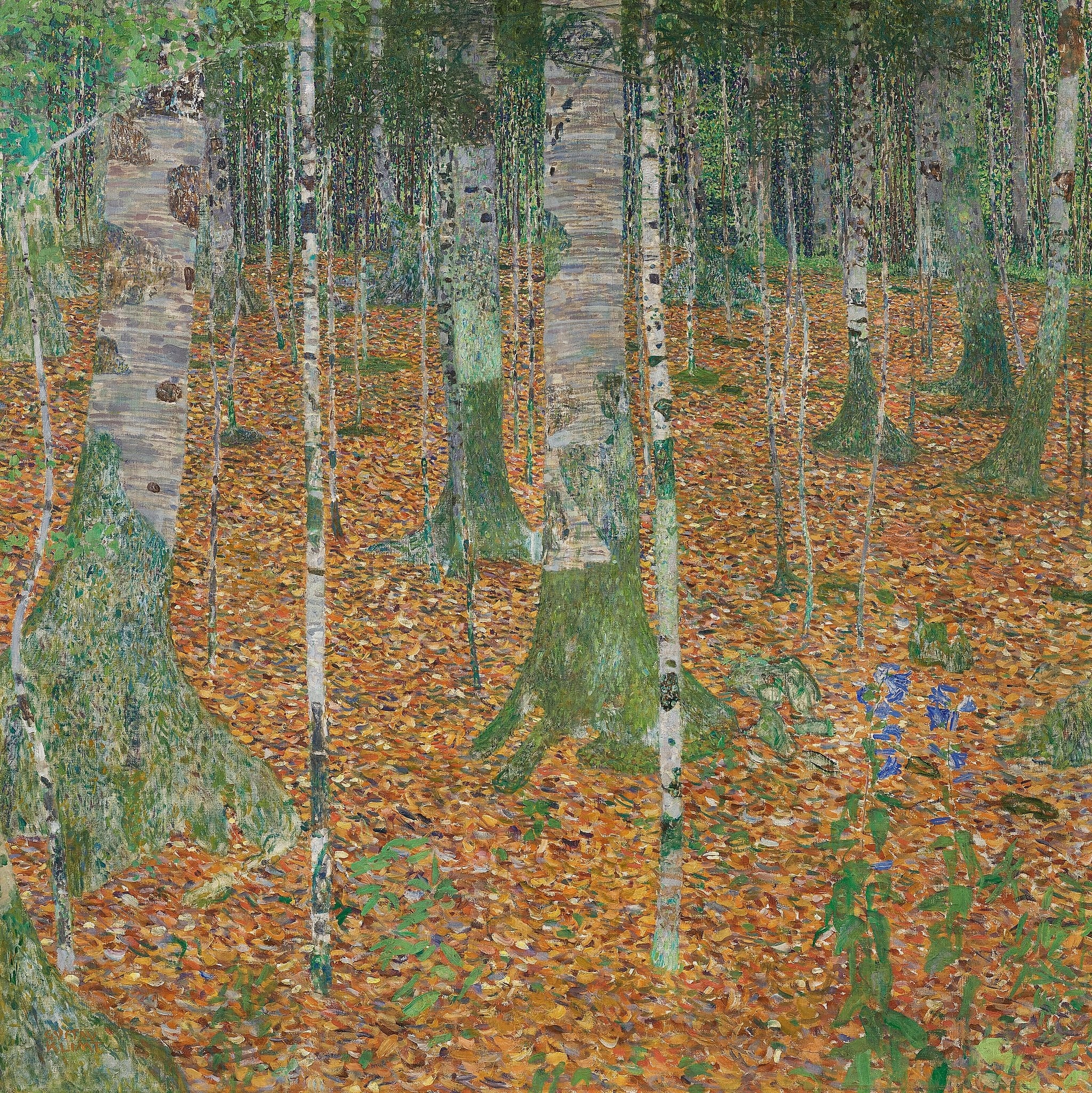 Birch Forest by Gustav Klimt