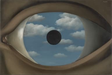 The False Mirror