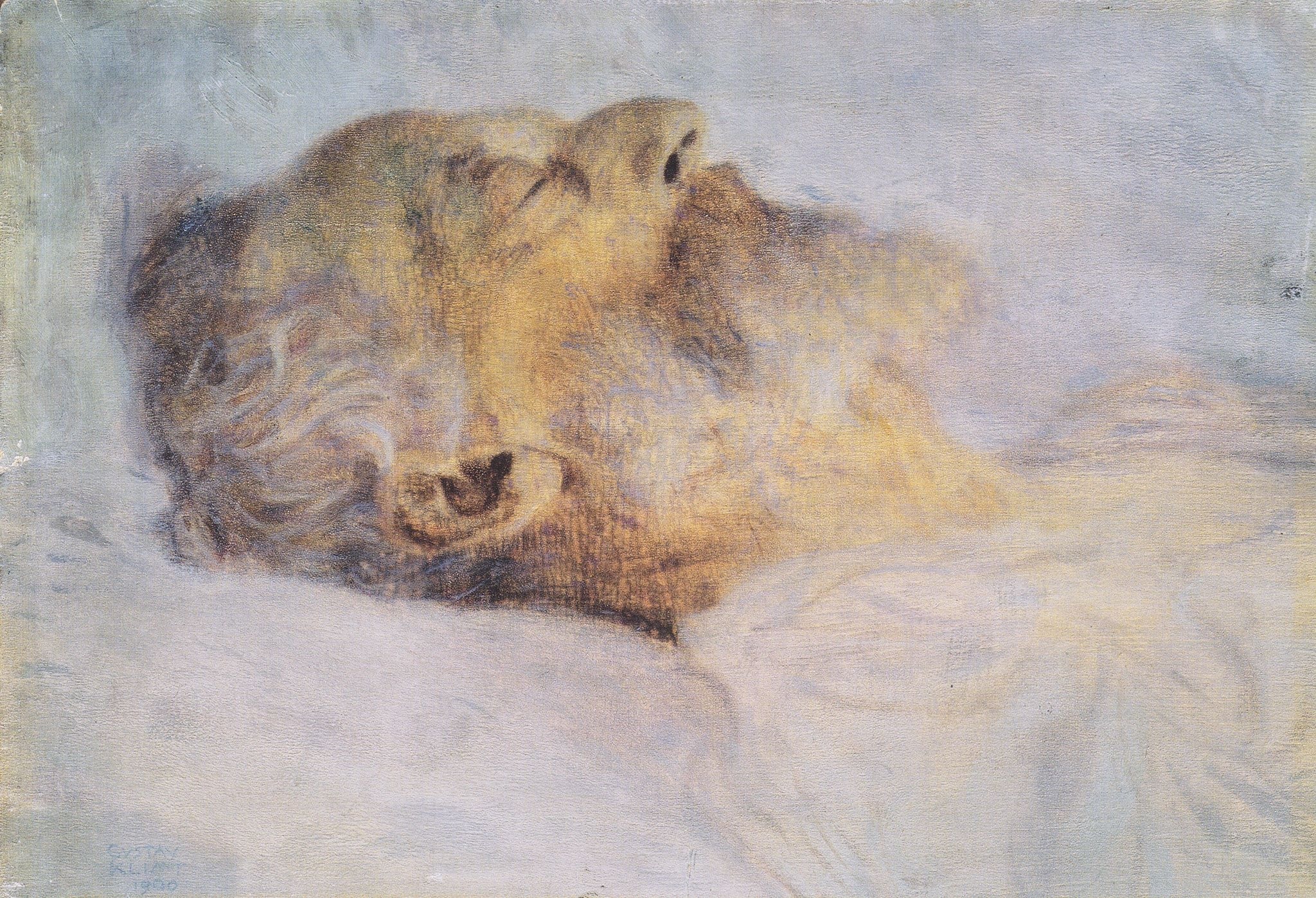 Click numbered symbols to learn about their meaning Old Man on His Deathbed by Gustav Klimt (1900 (cataloged; c. 1899–1900, inscription likely by another hand)) featuring Pale light on pillow, Closed eyes, Slightly parted mouth