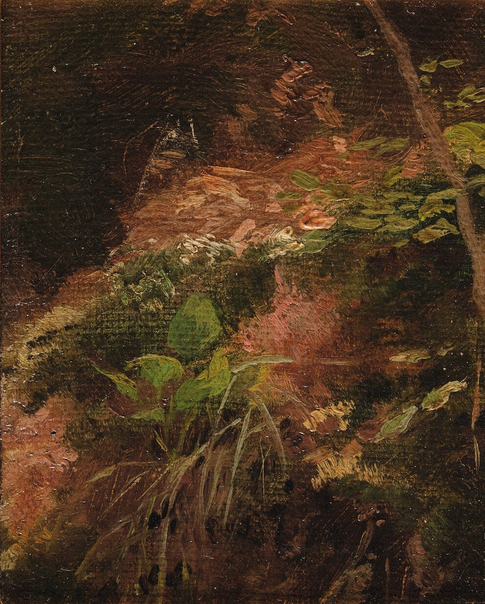 Click numbered symbols to learn about their meaning Forest Floor by Gustav Klimt (c. 1881/1882) featuring Sapling (young tree), Sprouting leaves/tuft, Leaf litter (decaying leaves), Moss/lichen band