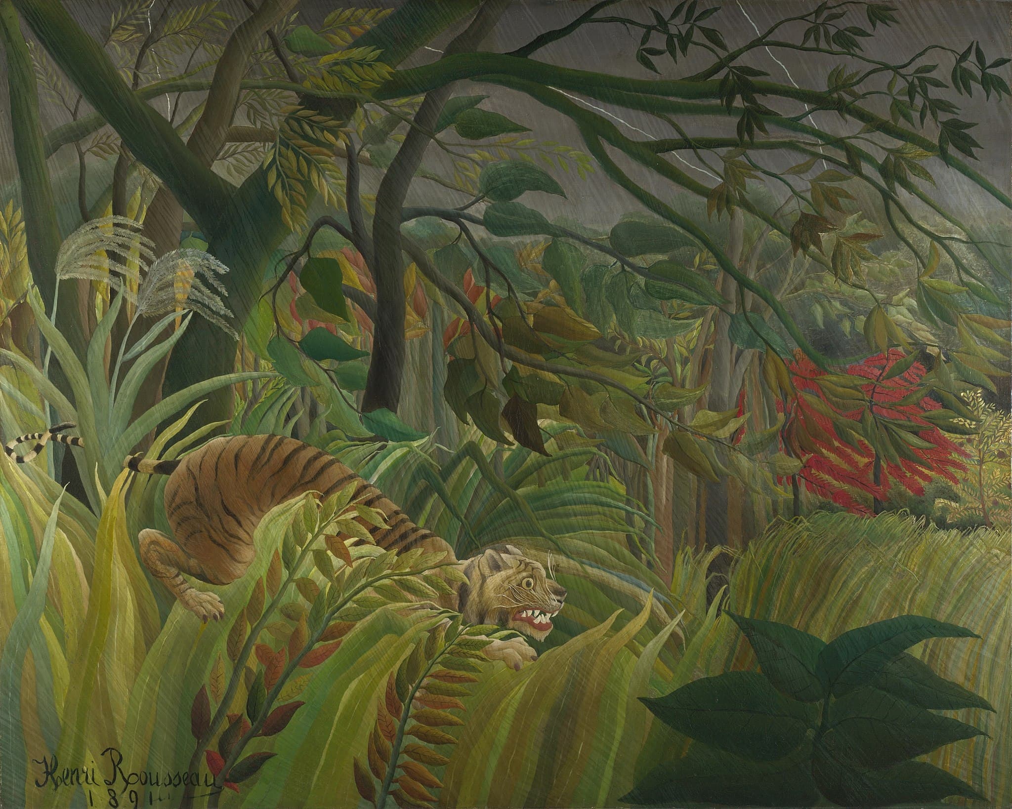 Tiger in a Tropical Storm (Surprised!)