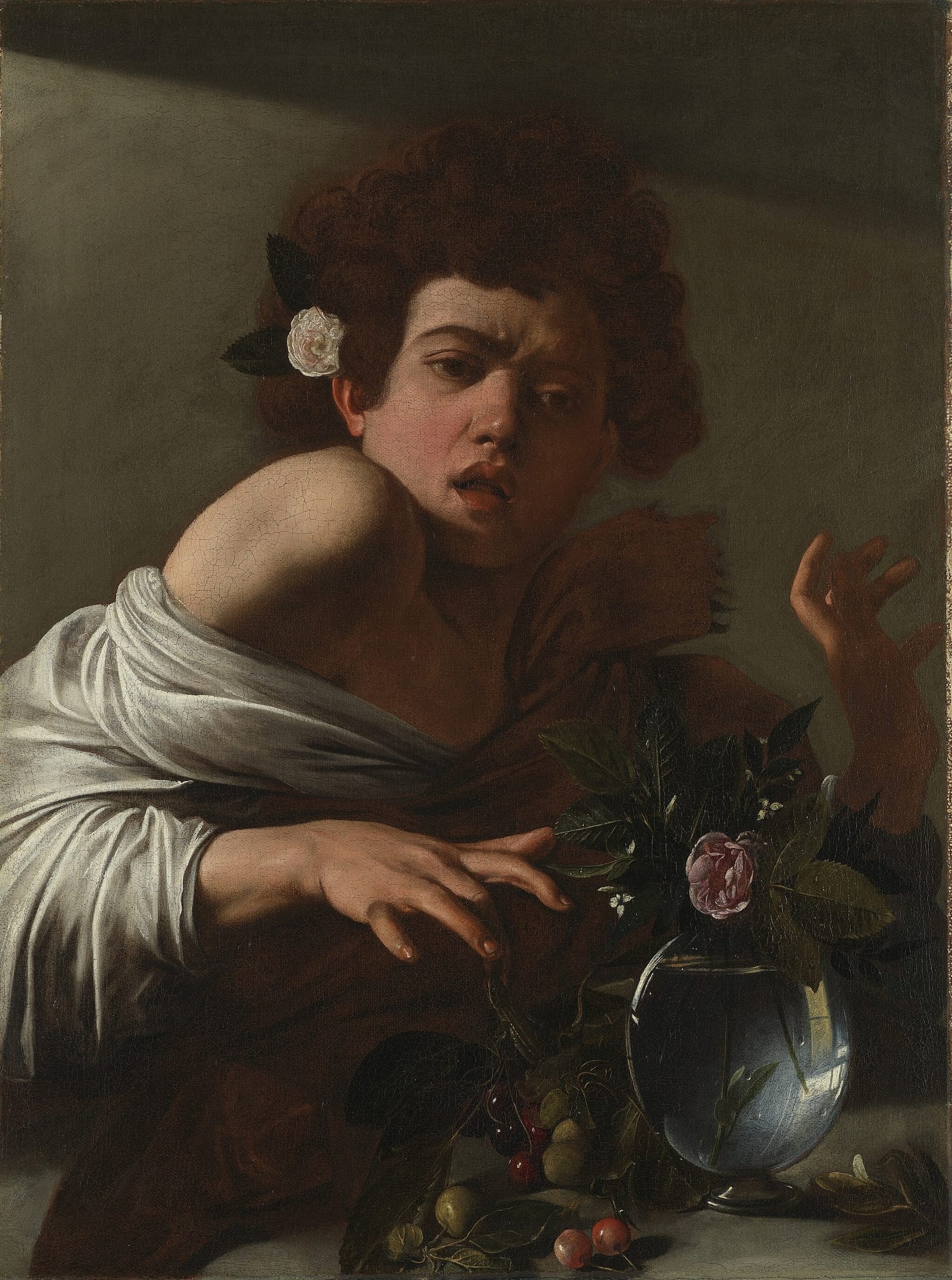 Boy bitten by a Lizard