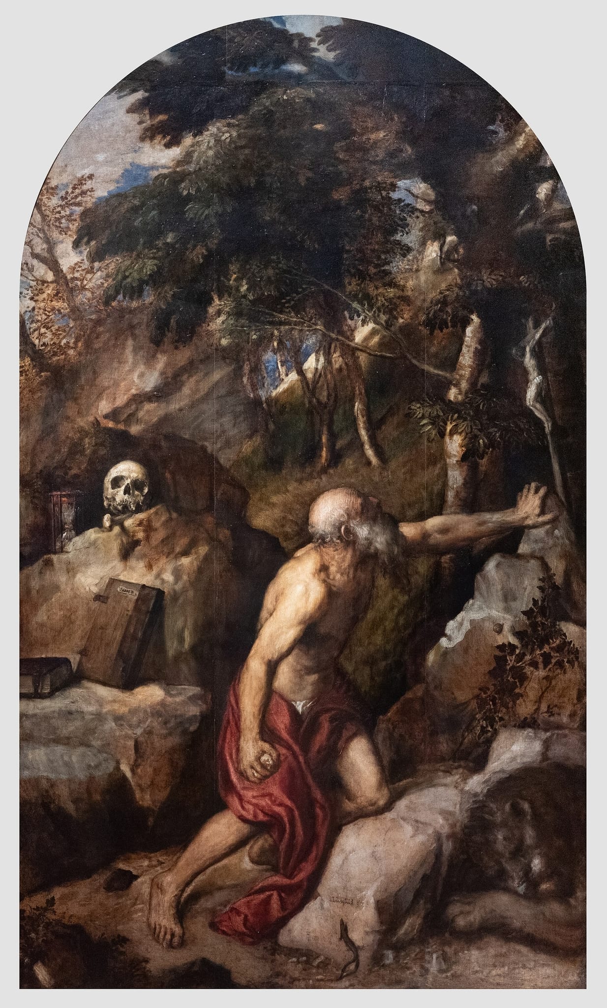 Penitent Saint Jerome