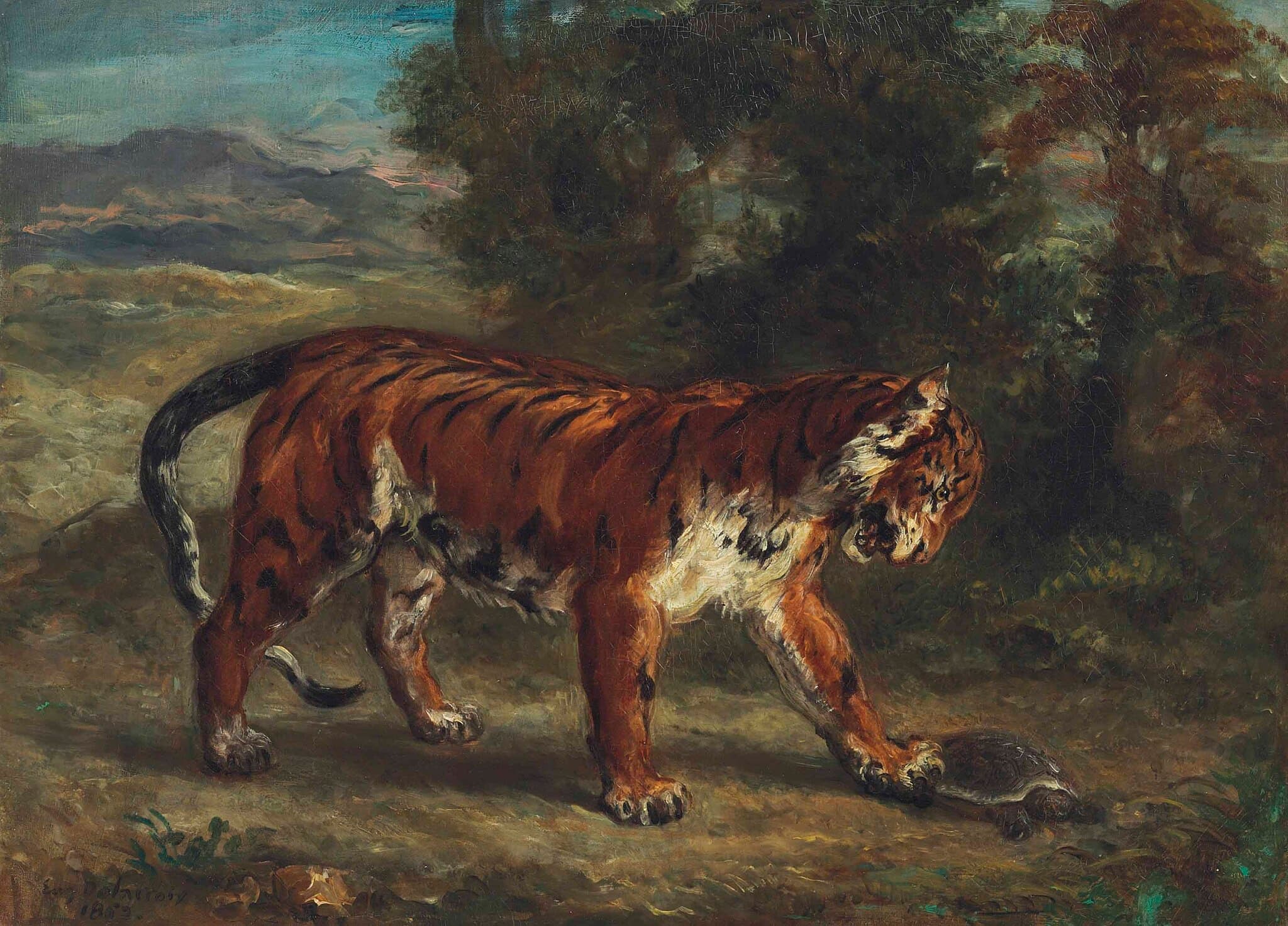 Tiger Playing with a Tortoise (Tigre jouant avec une tortue)
