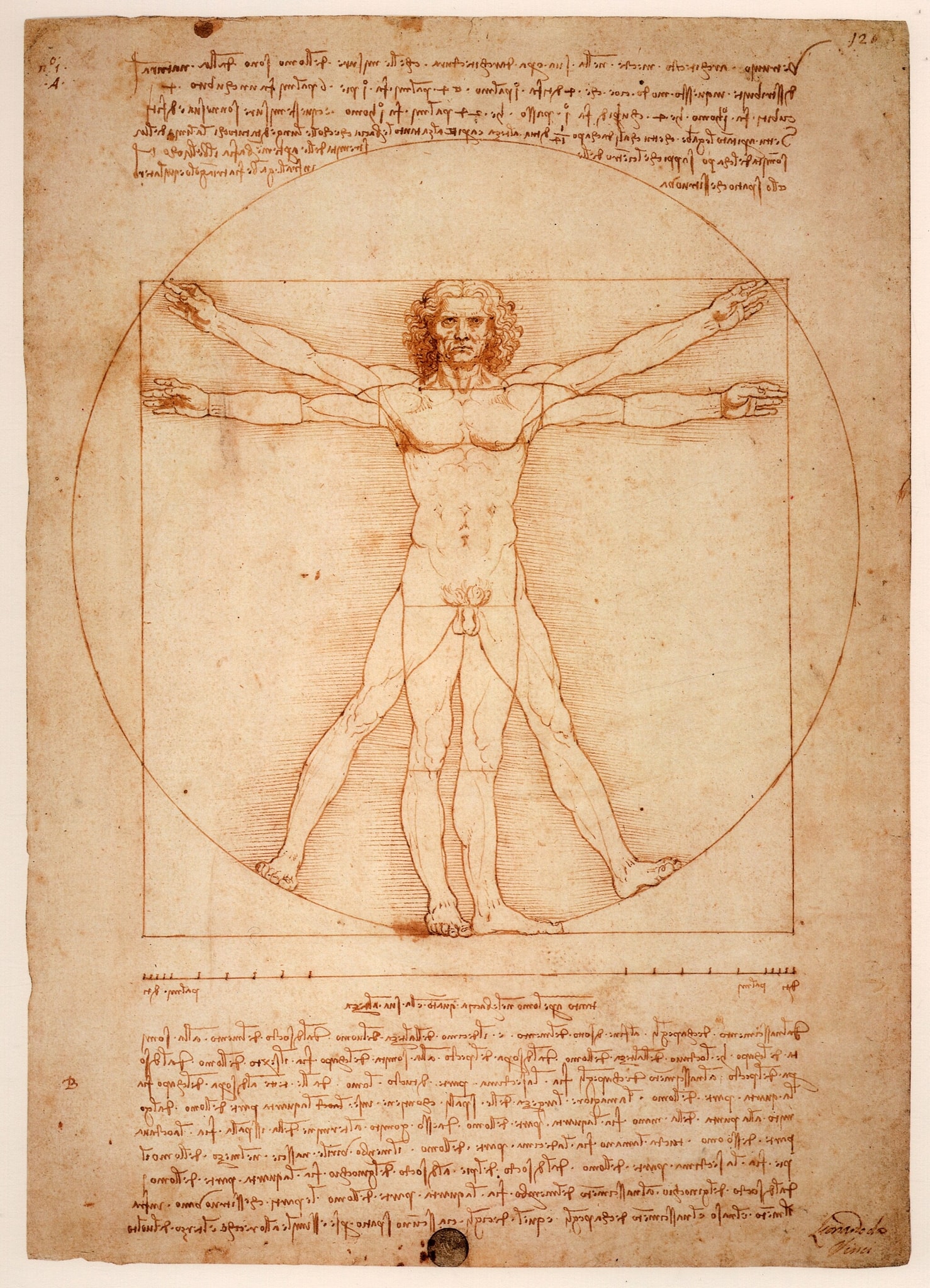 Click numbered symbols to learn about their meaning Vitruvian Man by Leonardo da Vinci (1498 (museum catalog; often cited traditionally as c. 1490)) featuring Circle, Square, Double‑posed human body, Navel as center