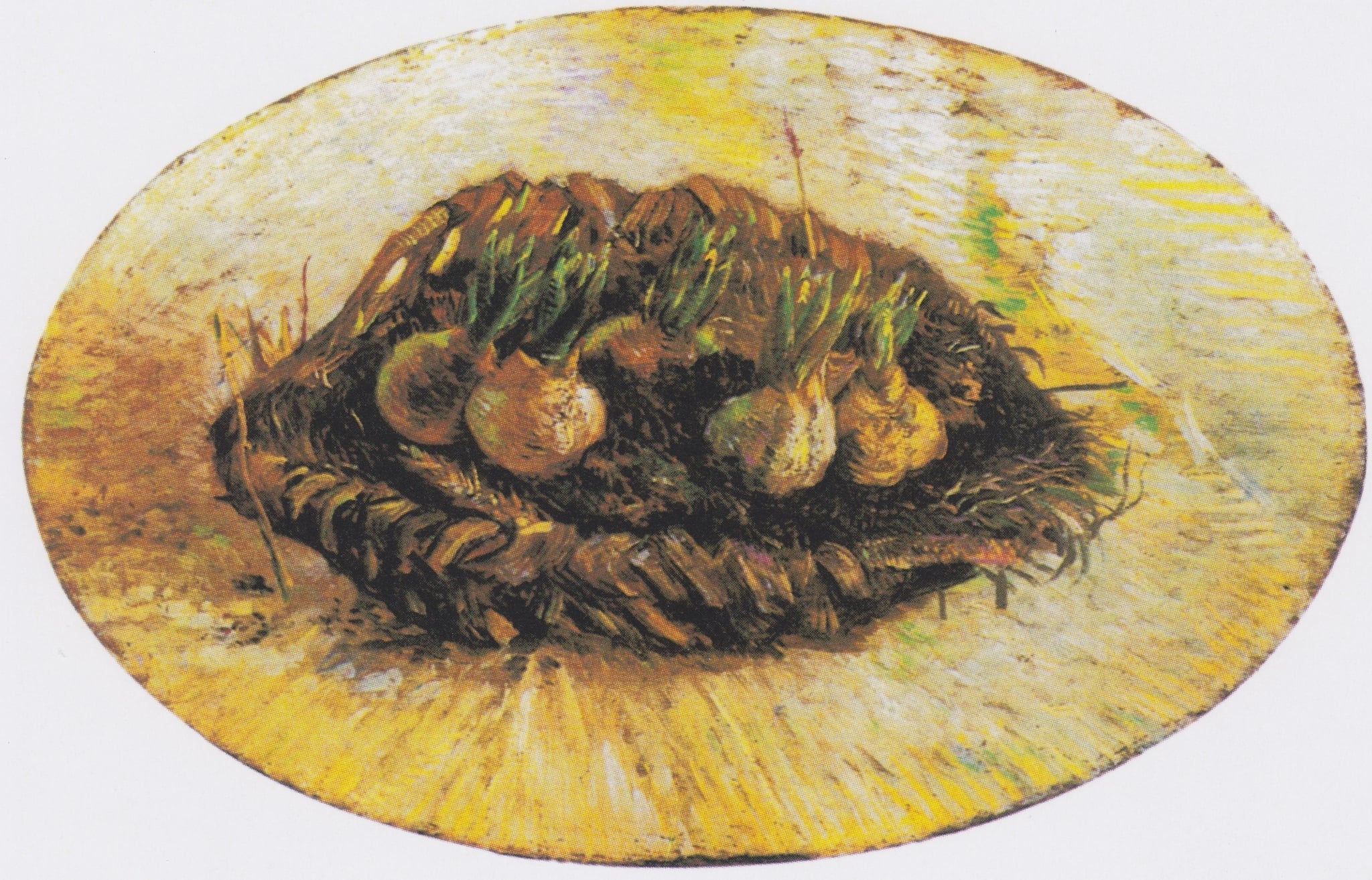 Basket of Hyacinth Bulbs by Vincent van Gogh