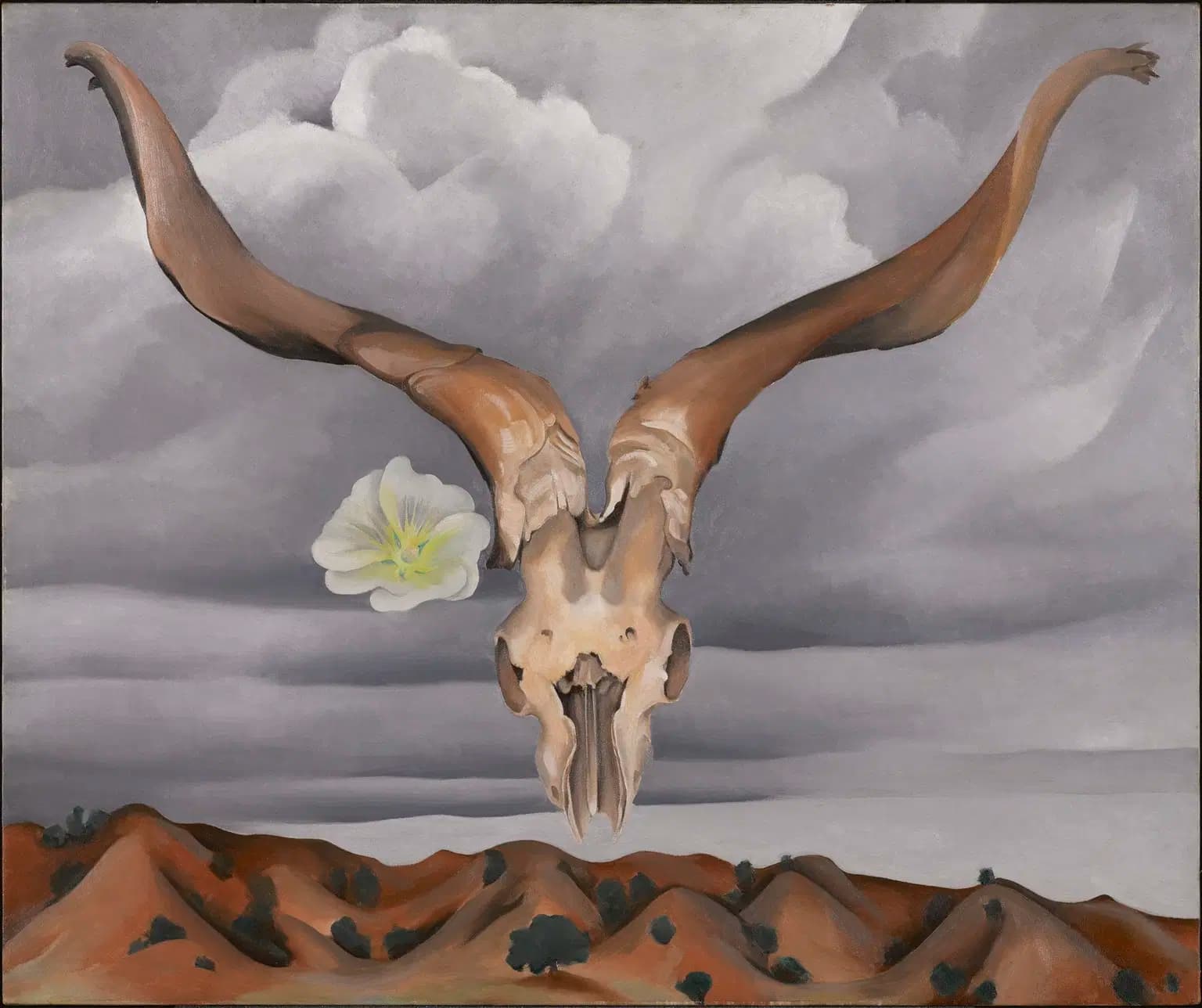 Ram's Head, White Hollyhock—Hills