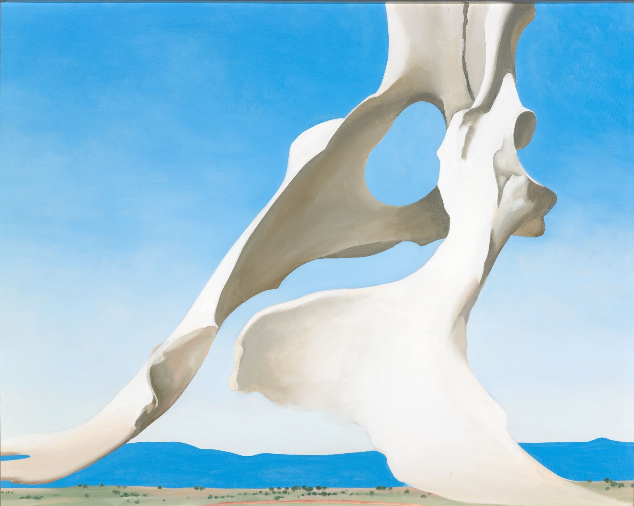 Pelvis with the Distance
