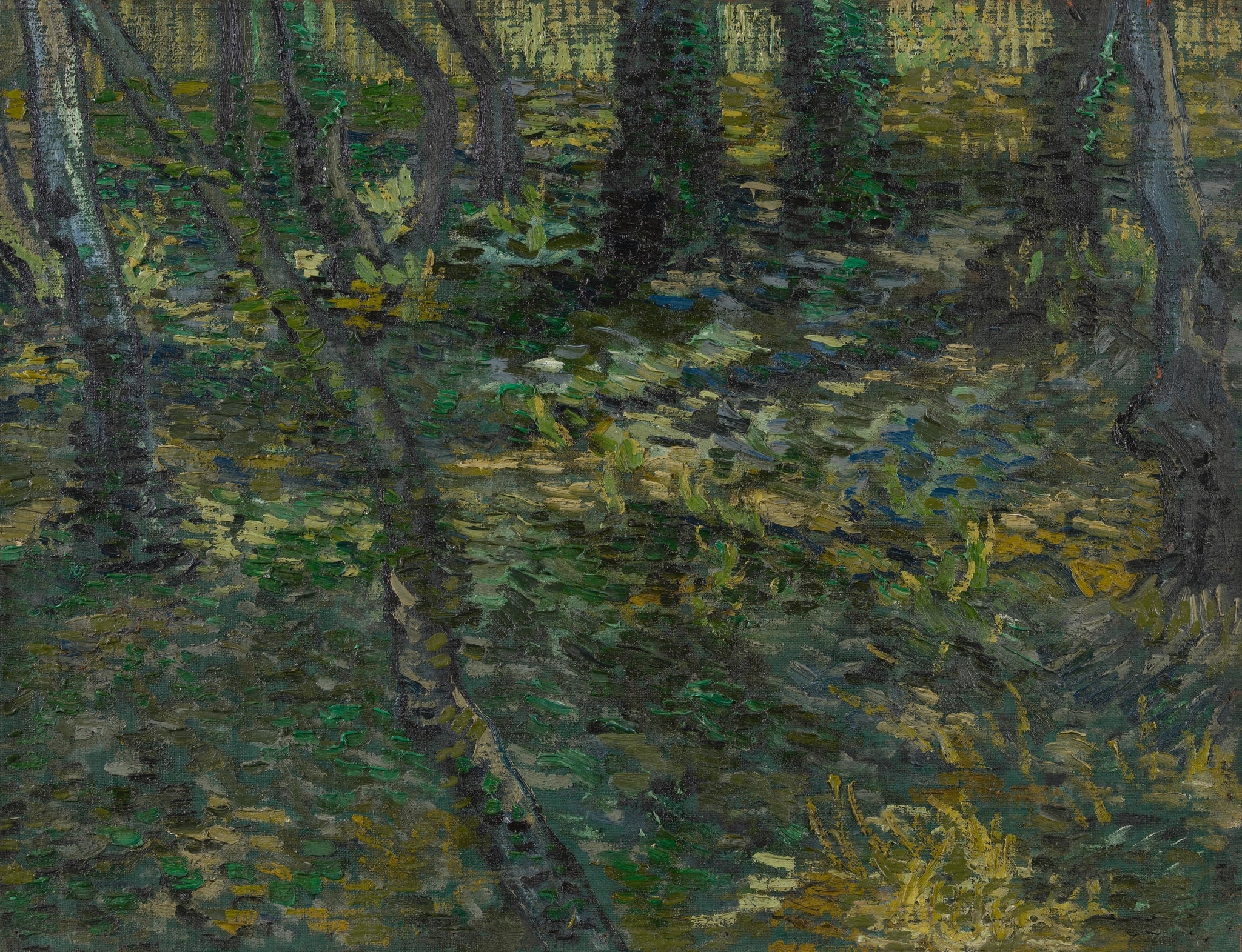 Click numbered symbols to learn about their meaning Undergrowth by Vincent van Gogh (1889) featuring Ivy carpet, Patches of dappled sunlight, Leaning tree trunks, Diagonal shadows