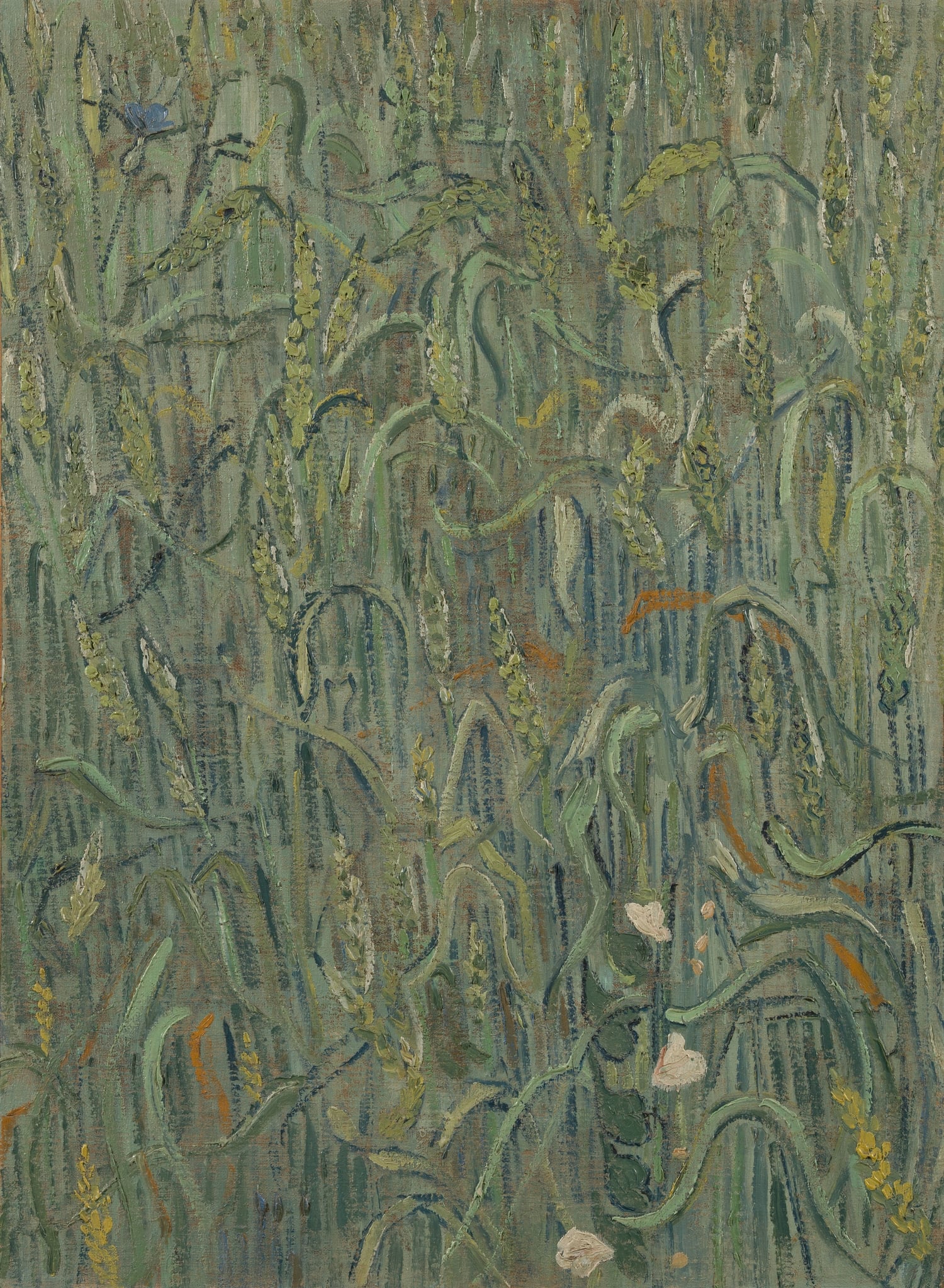 Ears of Wheat by Vincent van Gogh