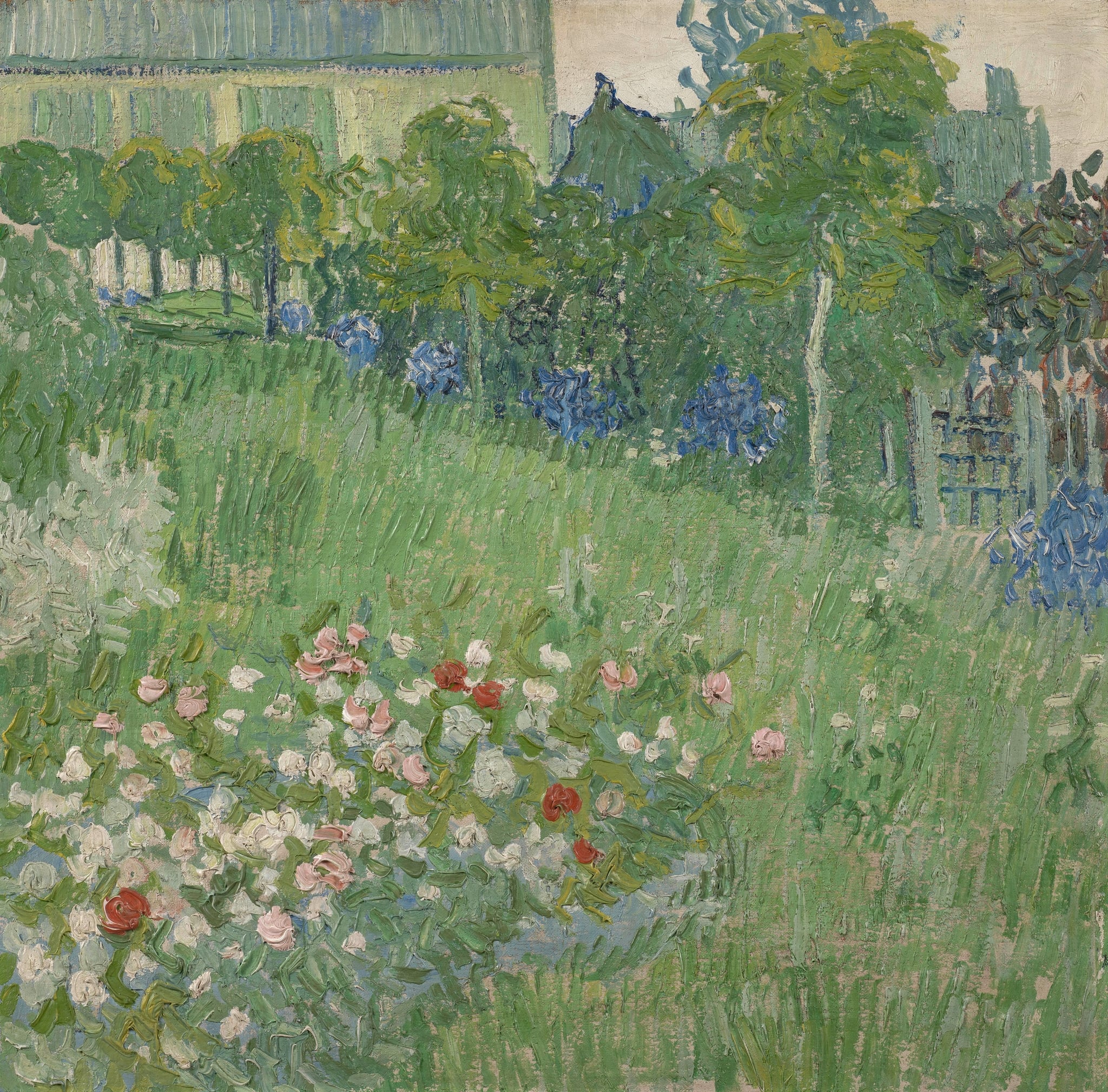 Daubigny's Garden by Vincent van Gogh