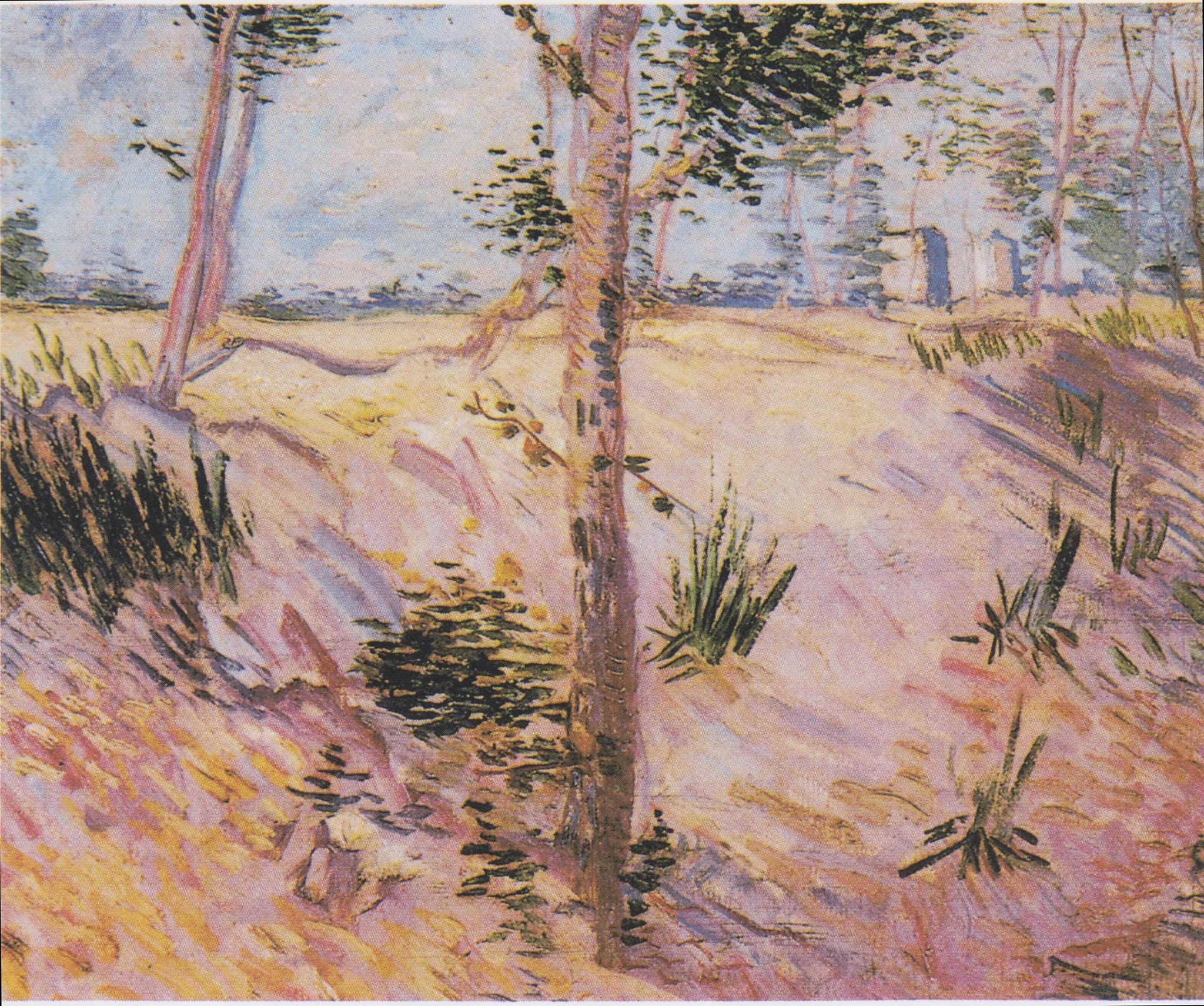 Riverbank with Trees