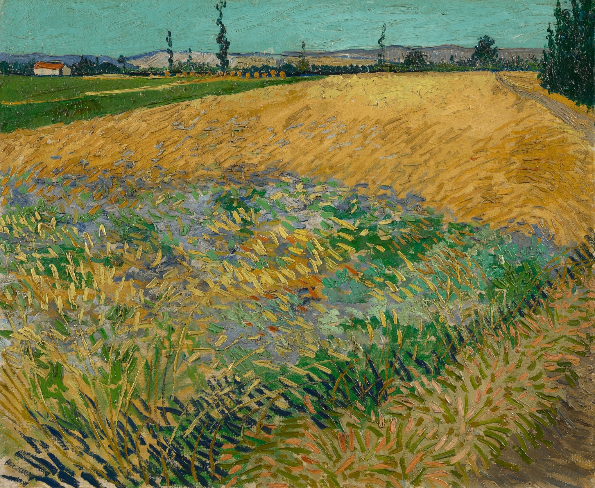 Click numbered symbols to learn about their meaning Wheatfield by Vincent van Gogh (1888) featuring Wheatfield, Narrow path, Farmhouse, Compressed turquoise sky (high horizon)