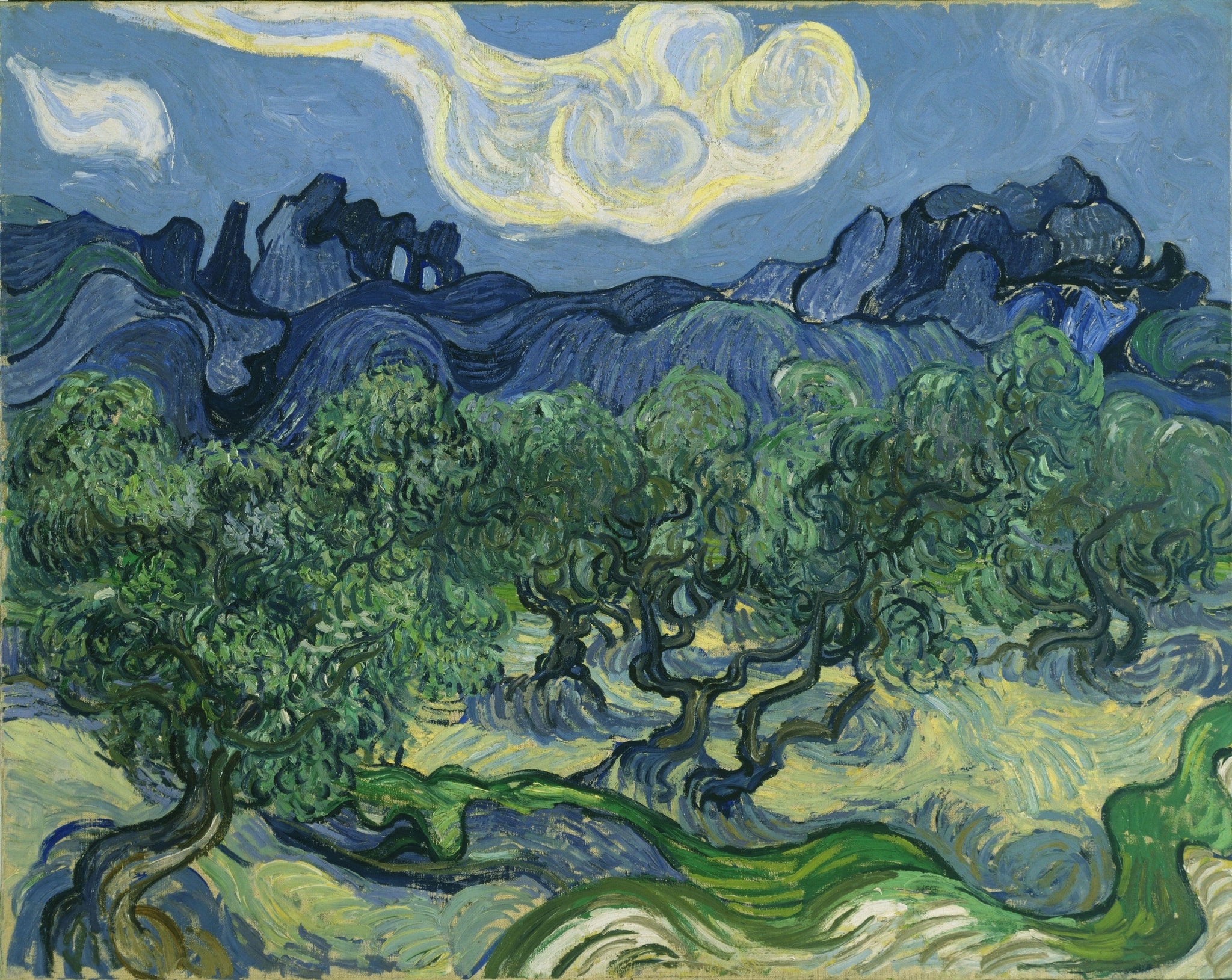 Click numbered symbols to learn about their meaning The Olive Trees by Vincent van Gogh (1889) featuring Olive trees (twisted trunks and whorled crowns), Bundled white-yellow cloud, Alpilles mountains, Undulating yellow–blue ground