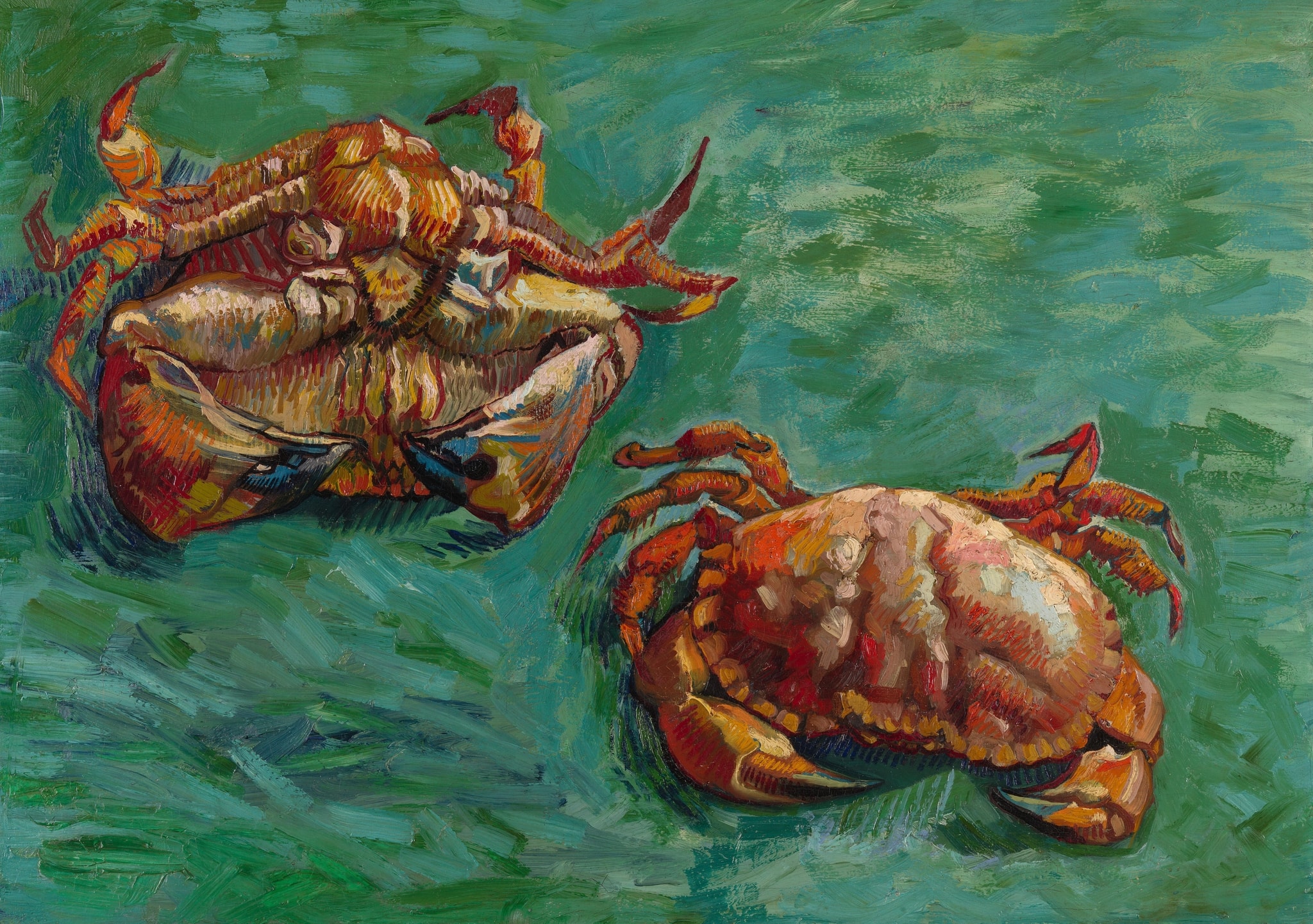 Click numbered symbols to learn about their meaning Two Crabs by Vincent van Gogh (1889) featuring Overturned crab, Upright crab, Female abdominal flap, Red–green complementaries