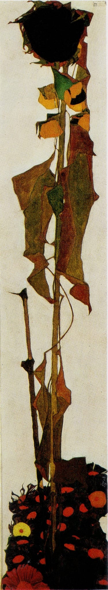 Sonnenblume
